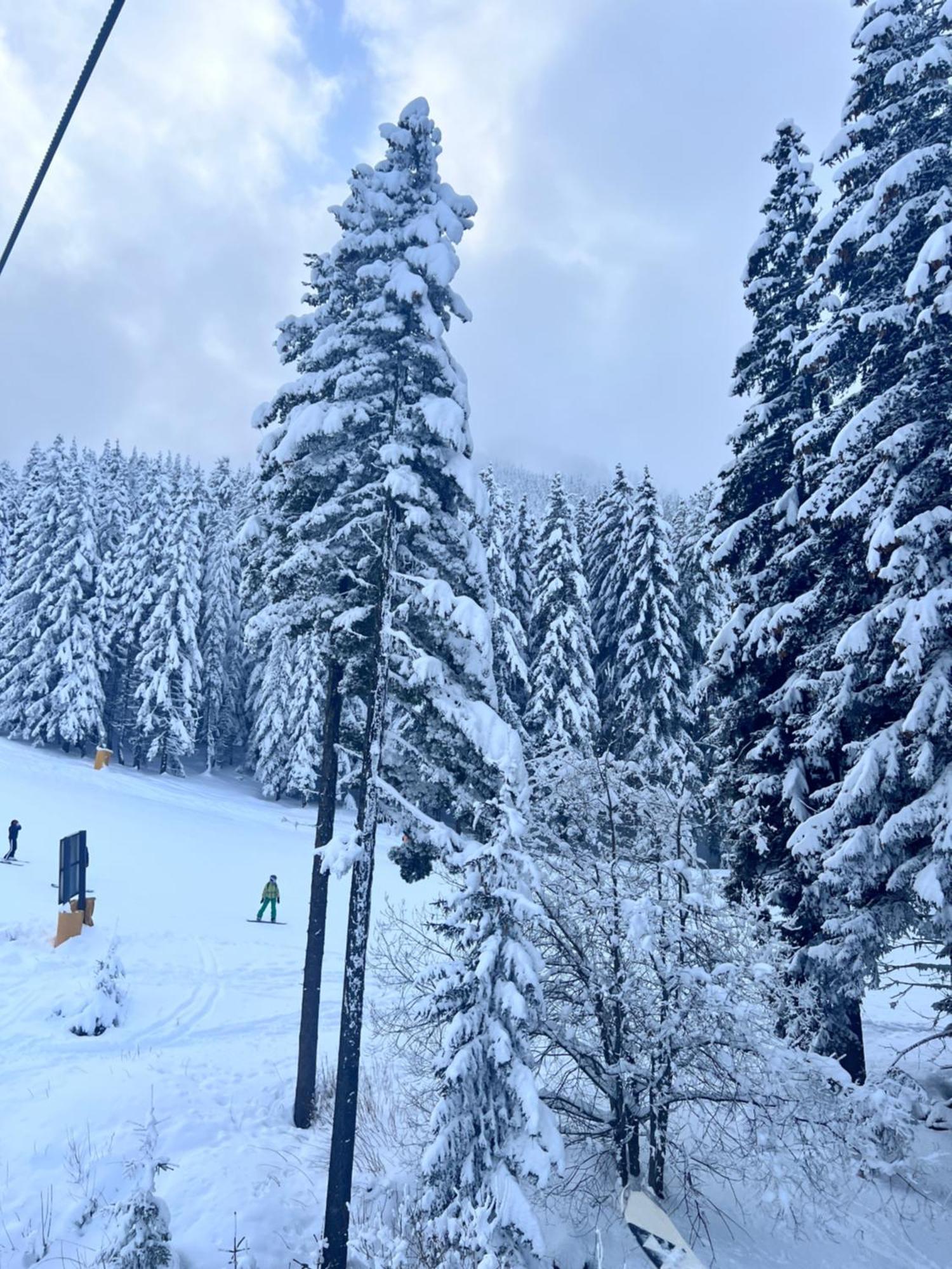 Dimitri Apartament Emerald , Near Gondola Bansko Esterno foto